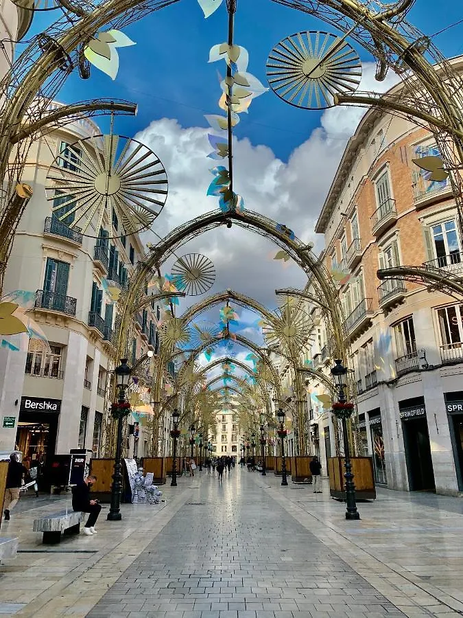 Homely Málaga Larios 0*,